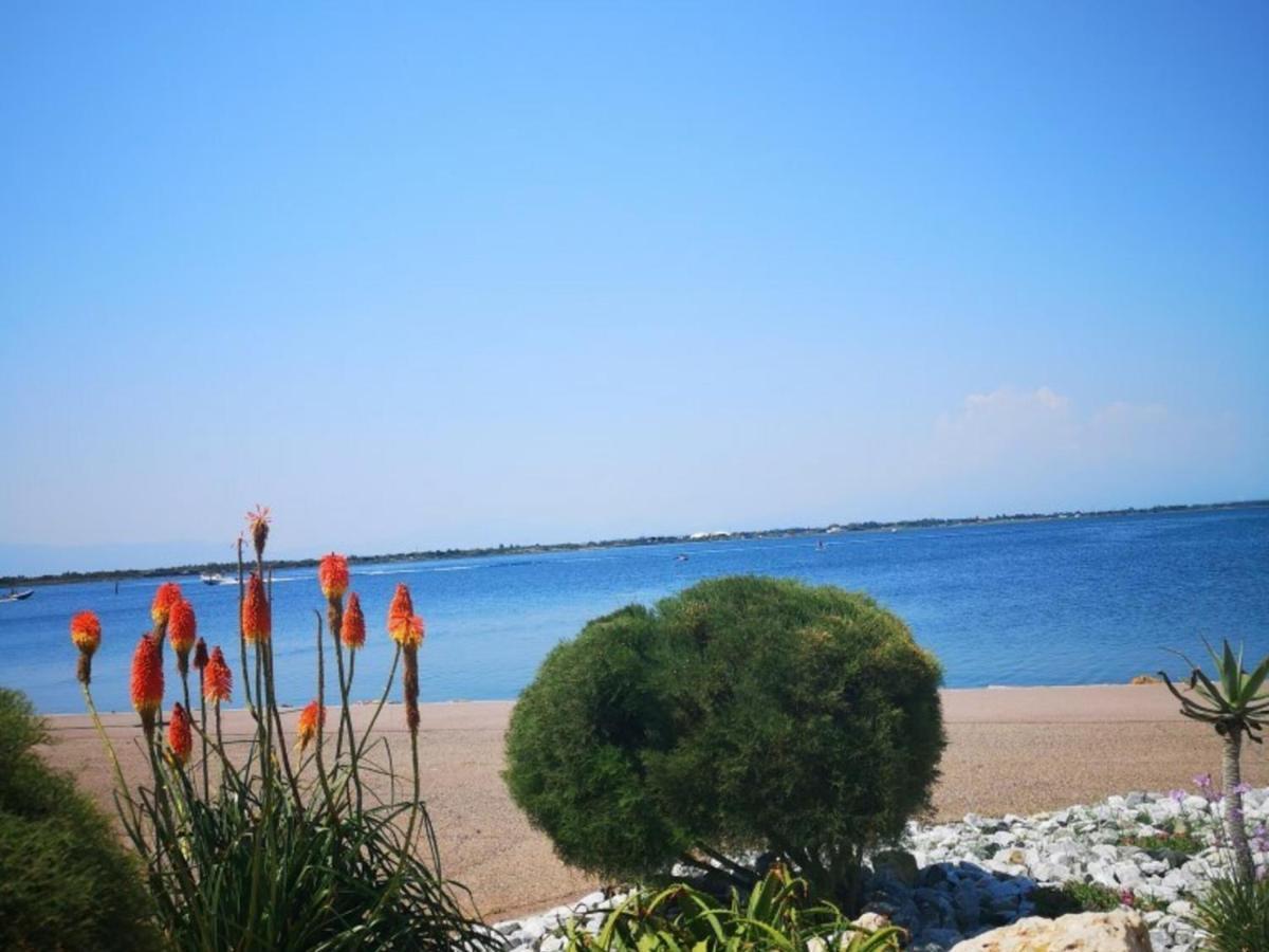 Appartement 4 Pers - Le Barcares - Piscine, Parkings, Terrains De Sport, Fitness - Fr-1-195-25 외부 사진